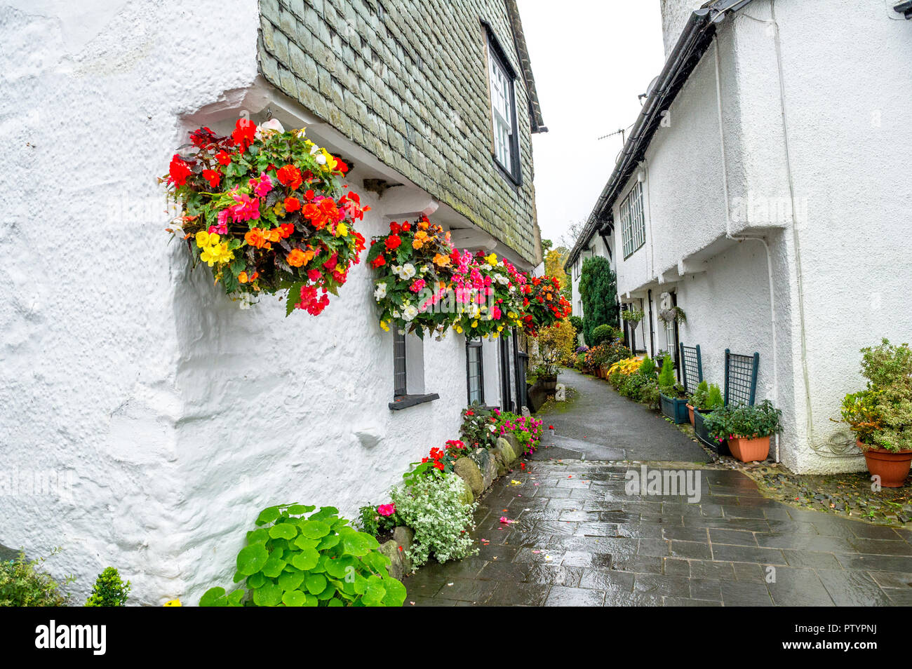 Reihe von blumenampeln entlang der weißen Häusern und engen Gassen in Hawkshead, Windermere, Cumbria gewaschen. Stockfoto