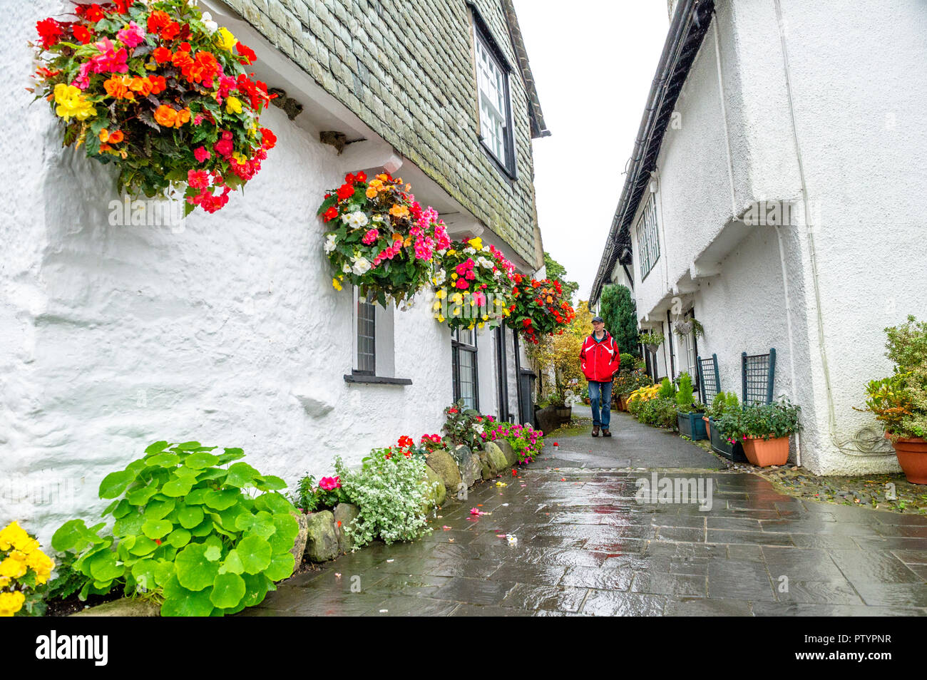 Reihe von blumenampeln entlang der weißen Häusern und engen Gassen in Hawkshead, Windermere, Cumbria gewaschen. Stockfoto