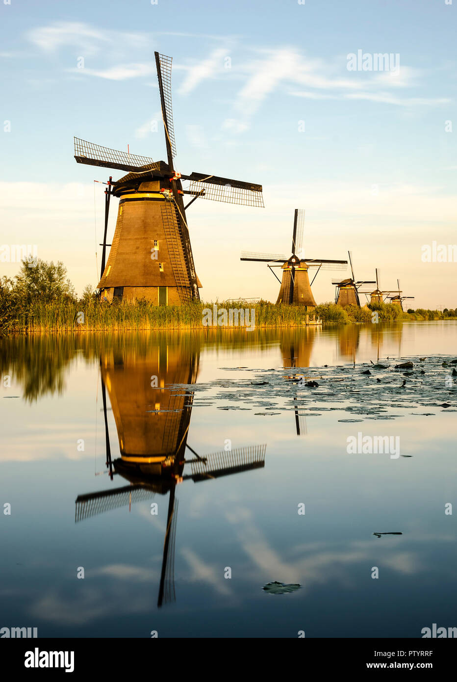 Die Windmühlen von Kinderdijk, Rotterdam, Holland. Stockfoto