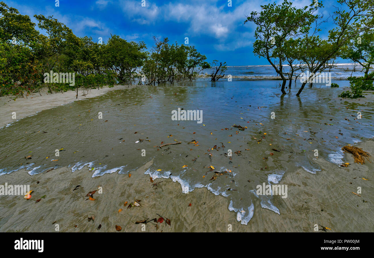 High Tide packte die Mangroven von Henri Island, West Bengal, Indien Stockfoto