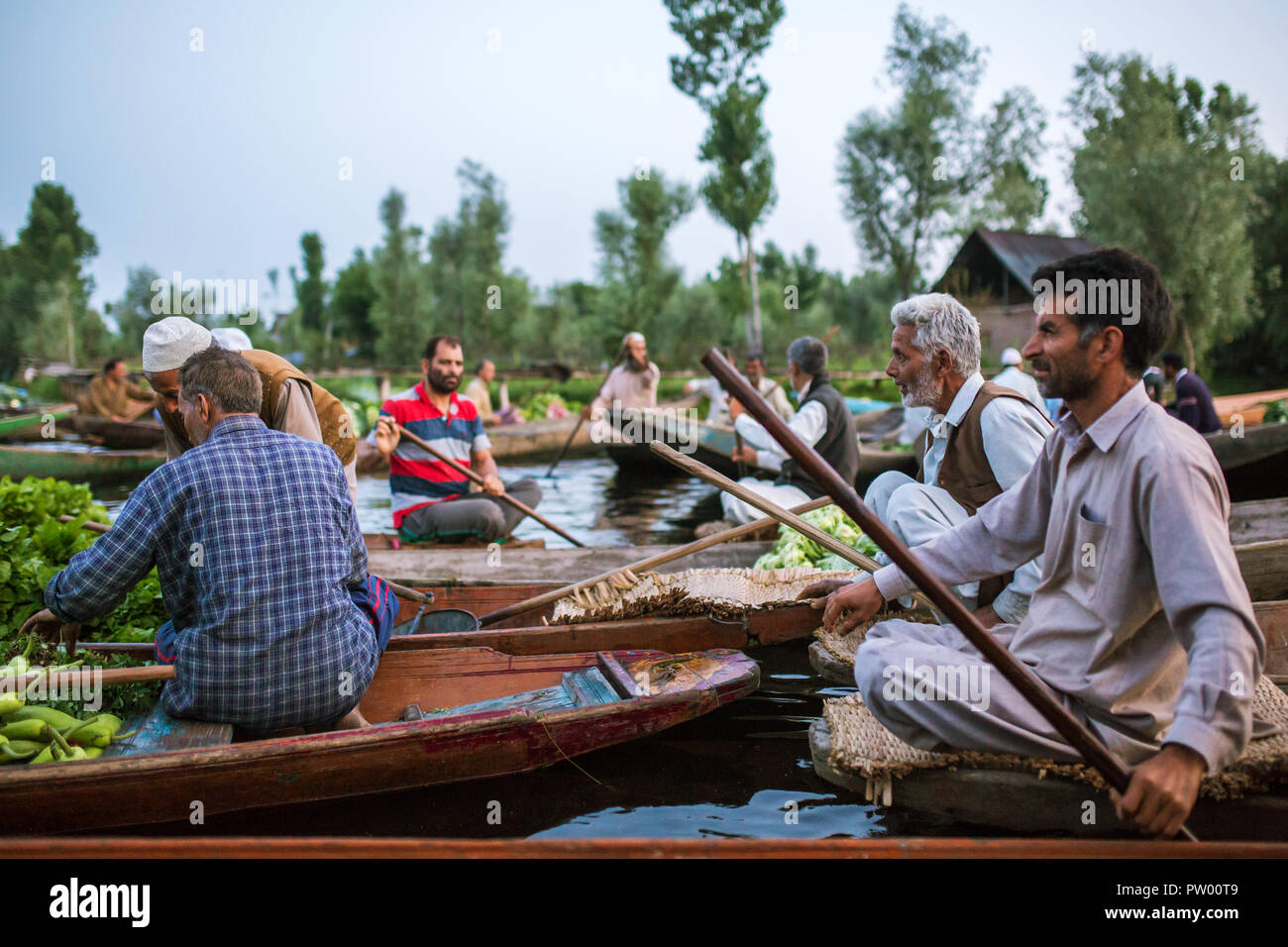 Srinagar, Indien - 16. Juni 2017: Unbekannter Gemüse Verkäufer, die ihre Produkte auf dem schwimmenden Markt in den frühen Morgenstunden am Dal Lake in Srina Stockfoto Srinagar, Indien - 16. Juni 2017: Unbekannter Gemüse Verkäufer, die ihre Produkte auf dem schwimmenden Markt in den frühen Morgenstunden am Dal Lake in Srina Stockfoto