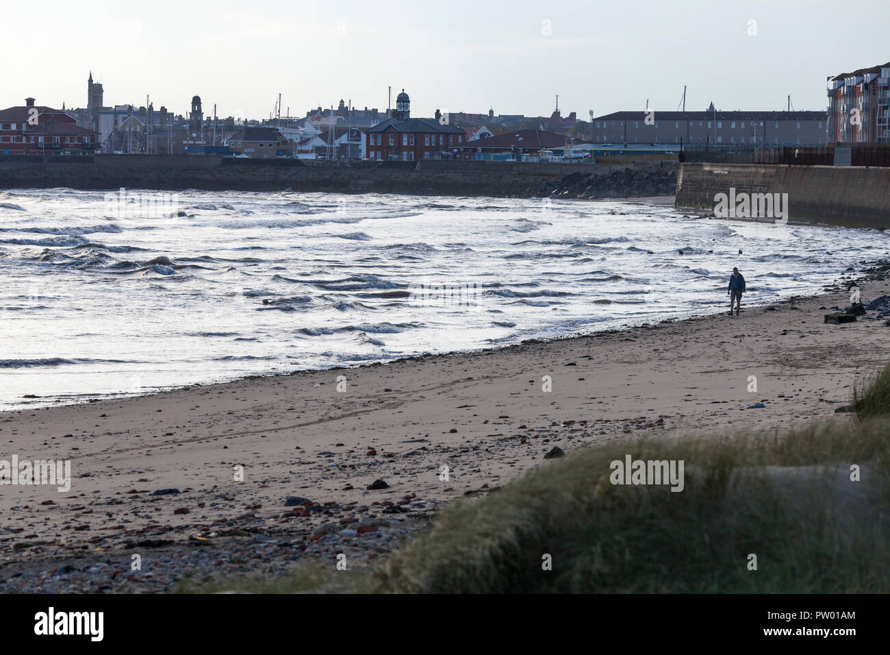 Ein Mann geht am Strand entlang mit seinem Hund spielen im Meer am Vorgewende in Hartlepool, England, Großbritannien Stockfoto