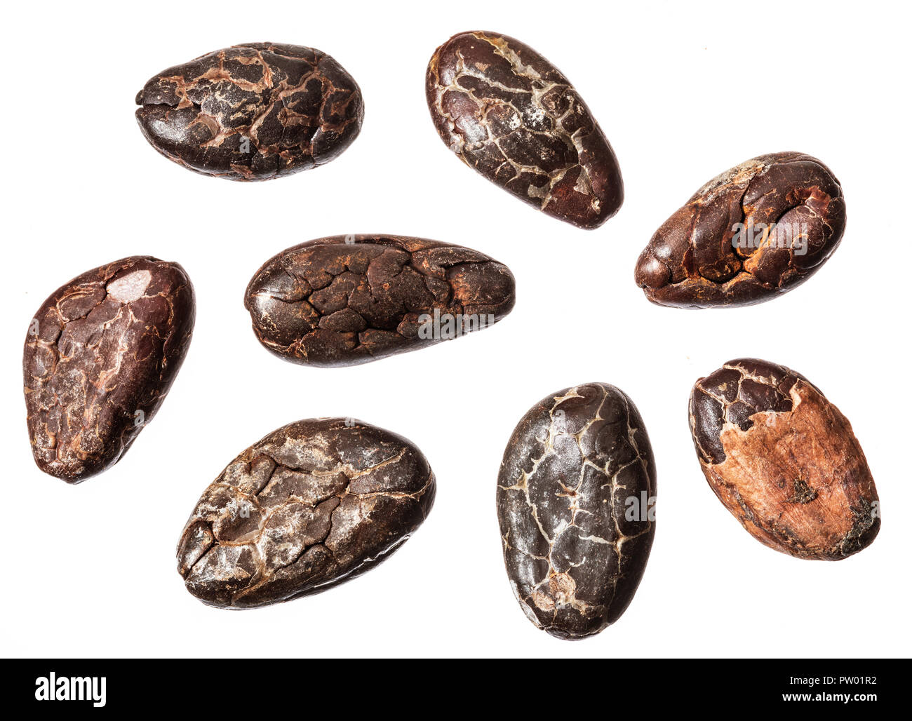 Kakaobohnen isoliert auf weißem Hintergrund. Makroaufnahme. Stockfoto