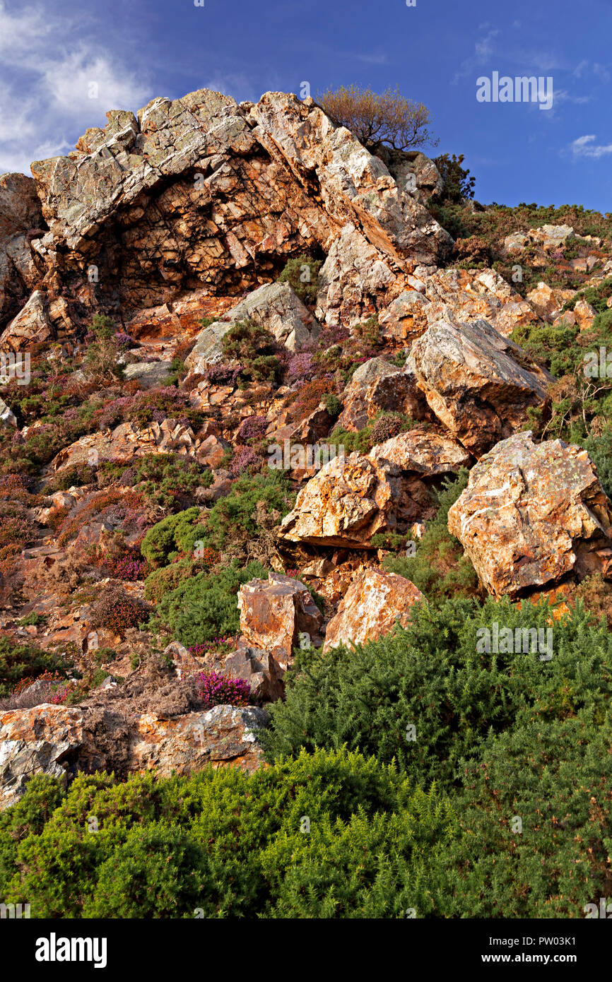 Felsen, Ginster und Heidekraut auf der Sychnant Pass in Nord Wales Stockfoto