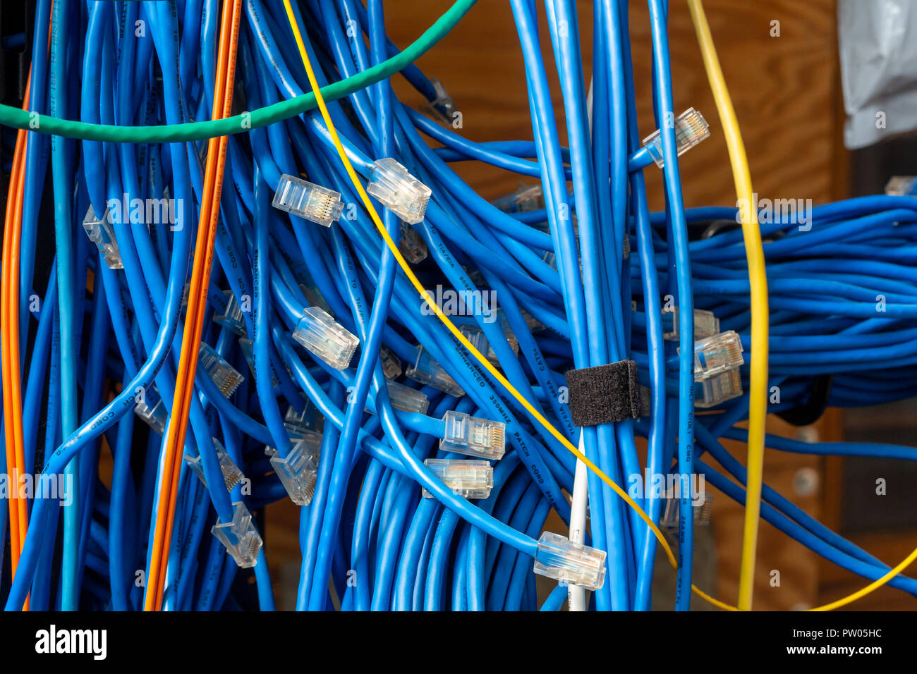 Kabel für ein Computernetzwerk. Stockfoto