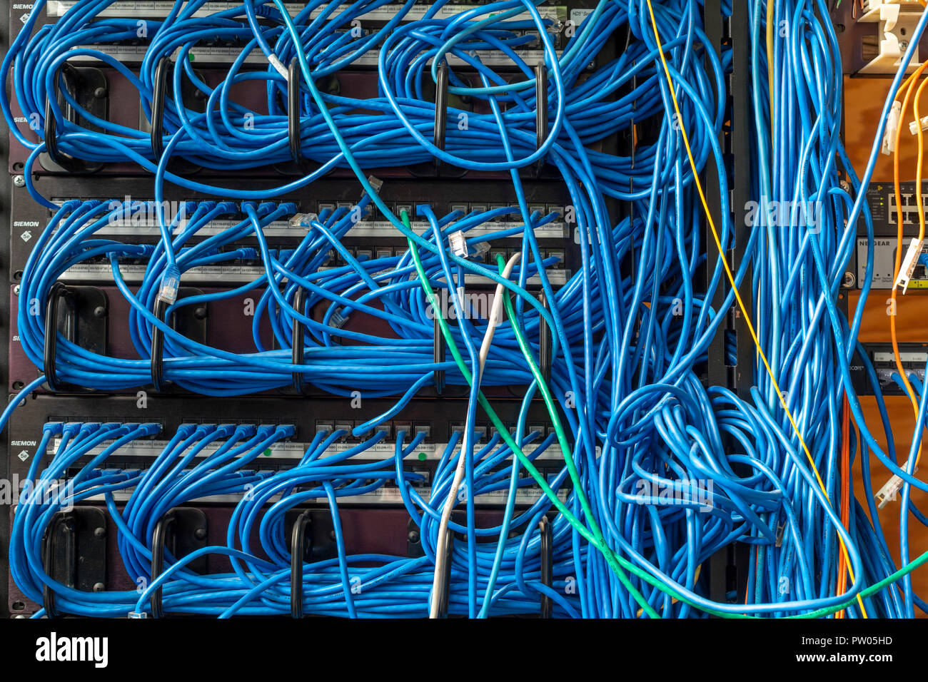 Kabel für ein Computernetzwerk. Stockfoto