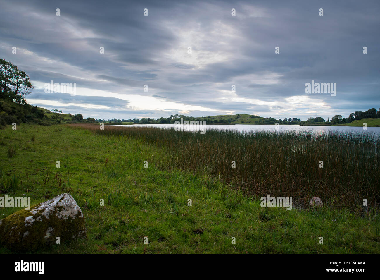 Abend Szene mit dunklen Wolken über dem See, mit Rohrkolben, schimmernde Oberfläche, ruhigen Abend Szene. Stockfoto