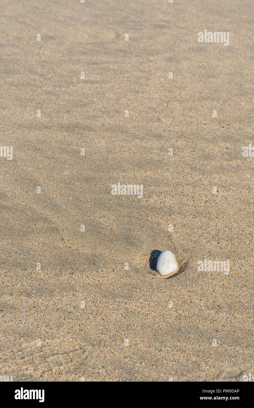 Isolierter Kieselstein auf nassem Sandbett am Strand. Für 'Last man Standing', ungerade Mann aus, ungerade einer aus, Rock ganz allein, einzelner Stein, Lassen Sie keinen Stein unverdreht. Stockfoto