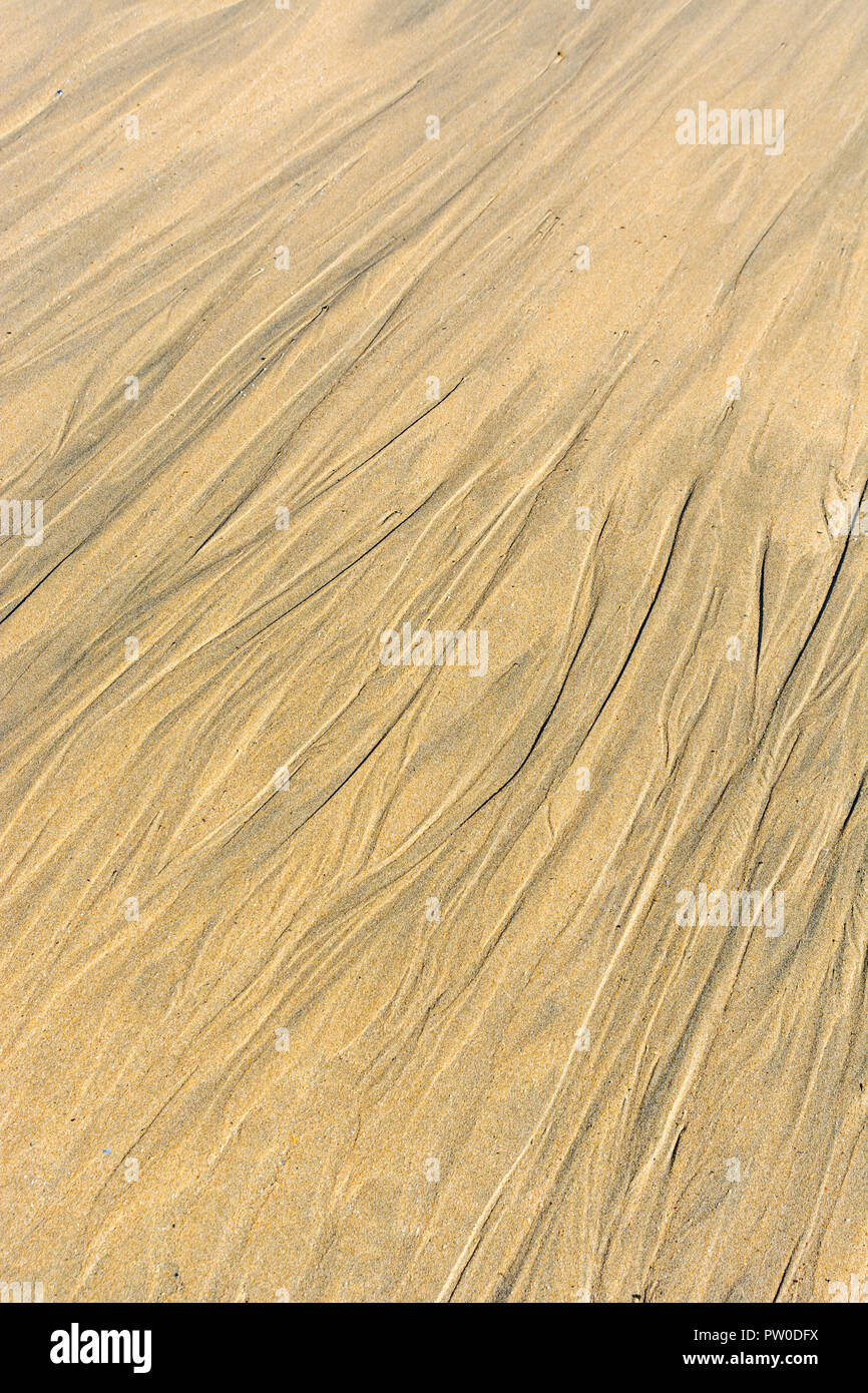 Bei Ebbe wellige Flecken im nassen Strandsand - oder Flusskämmen. Mars-ähnliches Flussmuster-Konzept und Stratigraphie-Forschung. Stockfoto