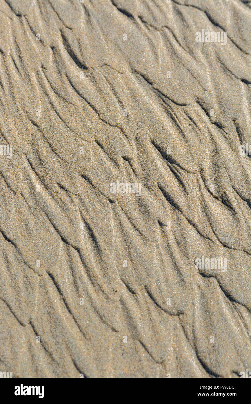 Bei Ebbe wellige Flecken / Fluvialkämme im nassen Strandsand. Mars-ähnliches Flussmuster-Konzept. Für Stratigraphiestudien. Stockfoto