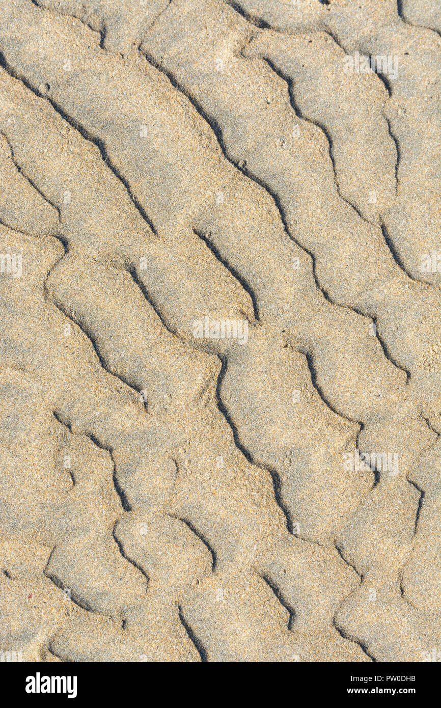 Bei Ebbe wellige Flecken / Fluvialkämme im nassen Strandsand. Mars-ähnliches Flussmuster-Konzept. Für Stratigraphiestudien. Stockfoto