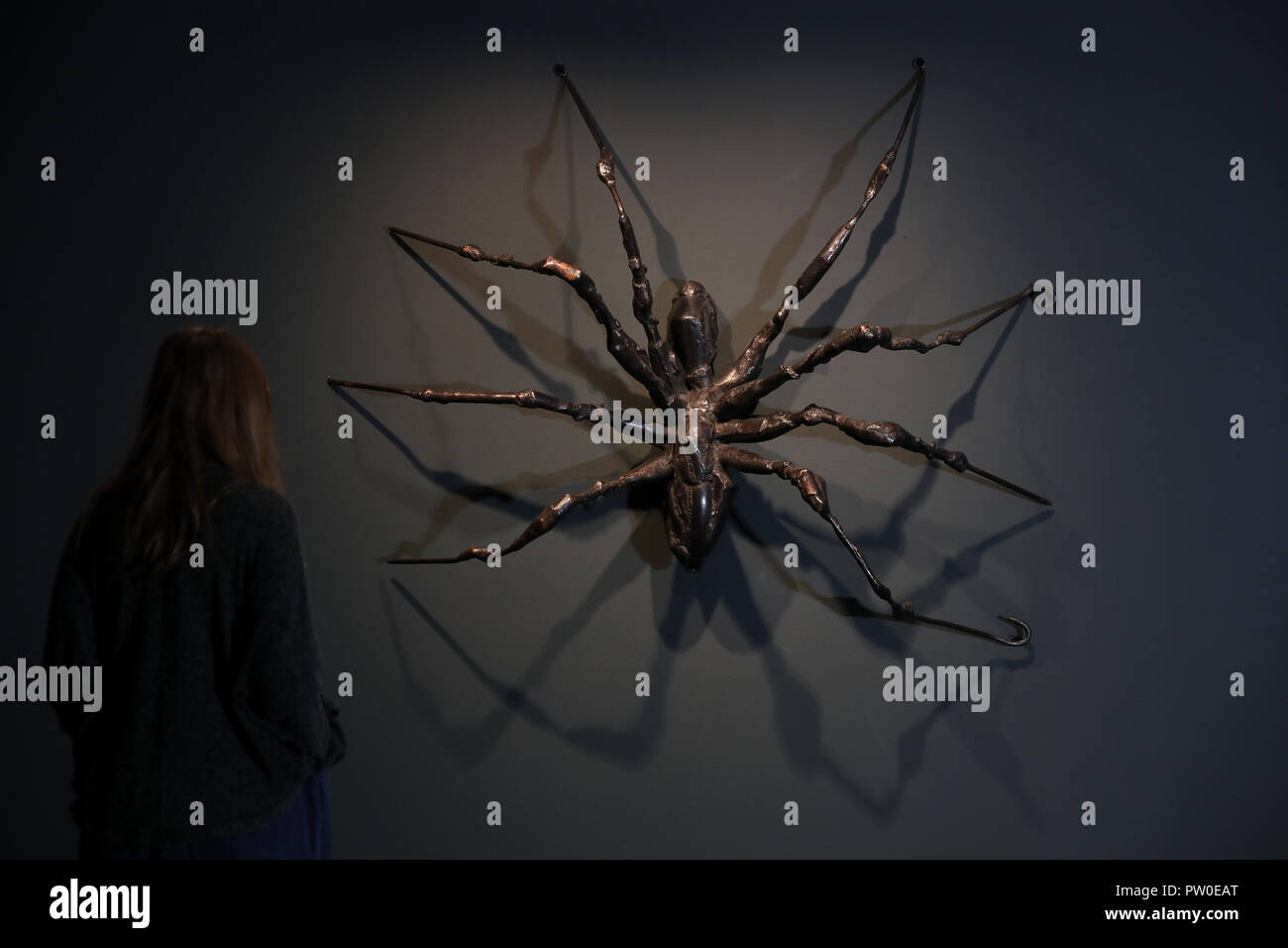 Die Arbeit von Elisabeth Frink auf Anzeige an der Elisabeth Frink Menschen und andere Tiere Ausstellung Vorschau am Sainsbury Zentrum für Bildende Kunst in Norwich, Norfolk. PRESS ASSOCIATION Foto. Bild Datum: Donnerstag, den 11. Oktober 2018. Die Ausstellung wird neue Perspektiven eröffnen und Ihre radikalen und böhmische Anfänge in den 50er Jahren in London, eine der wichtigsten britischen Bildhauer des 20. Jahrhunderts Aufarbeitung. Photo Credit: Chris Radburn/PA-Kabel Stockfoto
