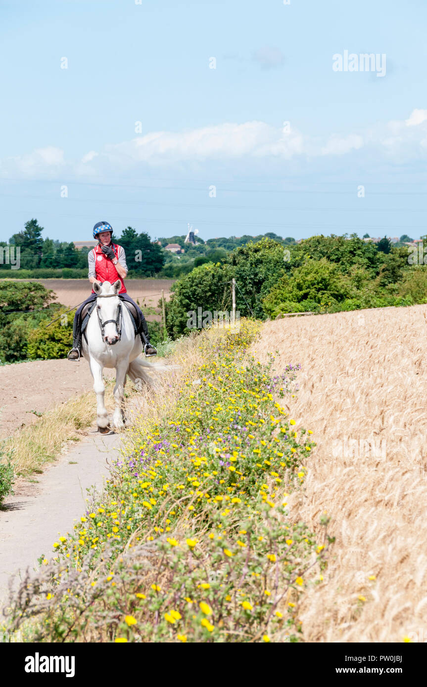 Eine horserider auf ein Land Reitweg neben Ackerrandstreifen in Kent. Stockfoto