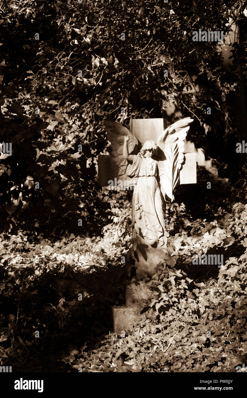 Sepia getont Stein Engel in Highgate Friedhof, London. Stockfoto