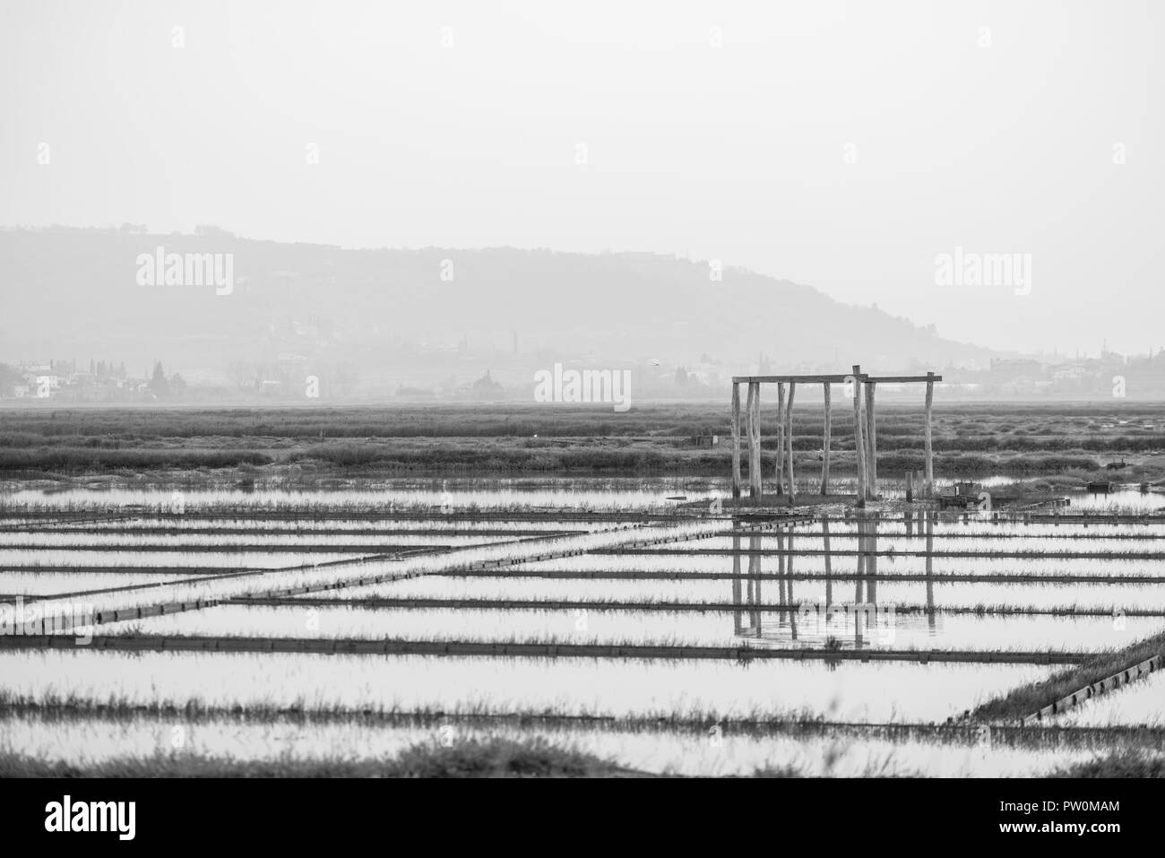 Abgebrochene Secovlje Salina Naturpark liegt im südwestlichen Teil von Slowenien entfernt. Graustufenbild an. Stockfoto