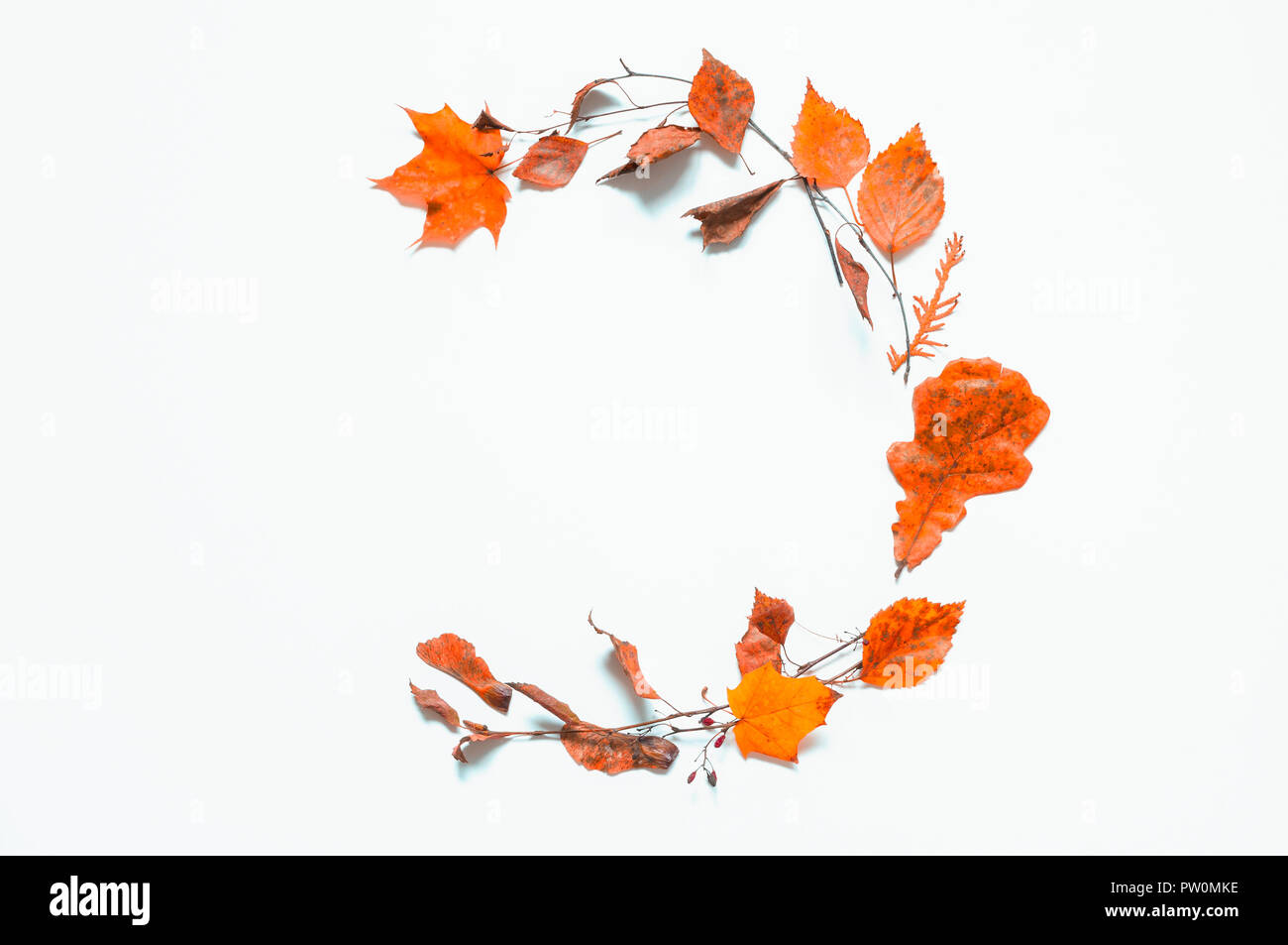 Herbst saisonal Hintergrund. Zusammensetzung aus getrockneten Blätter im Herbst auf der hölzernen Hintergrund mit freier Platz für Text. Herbst noch Leben Stockfoto
