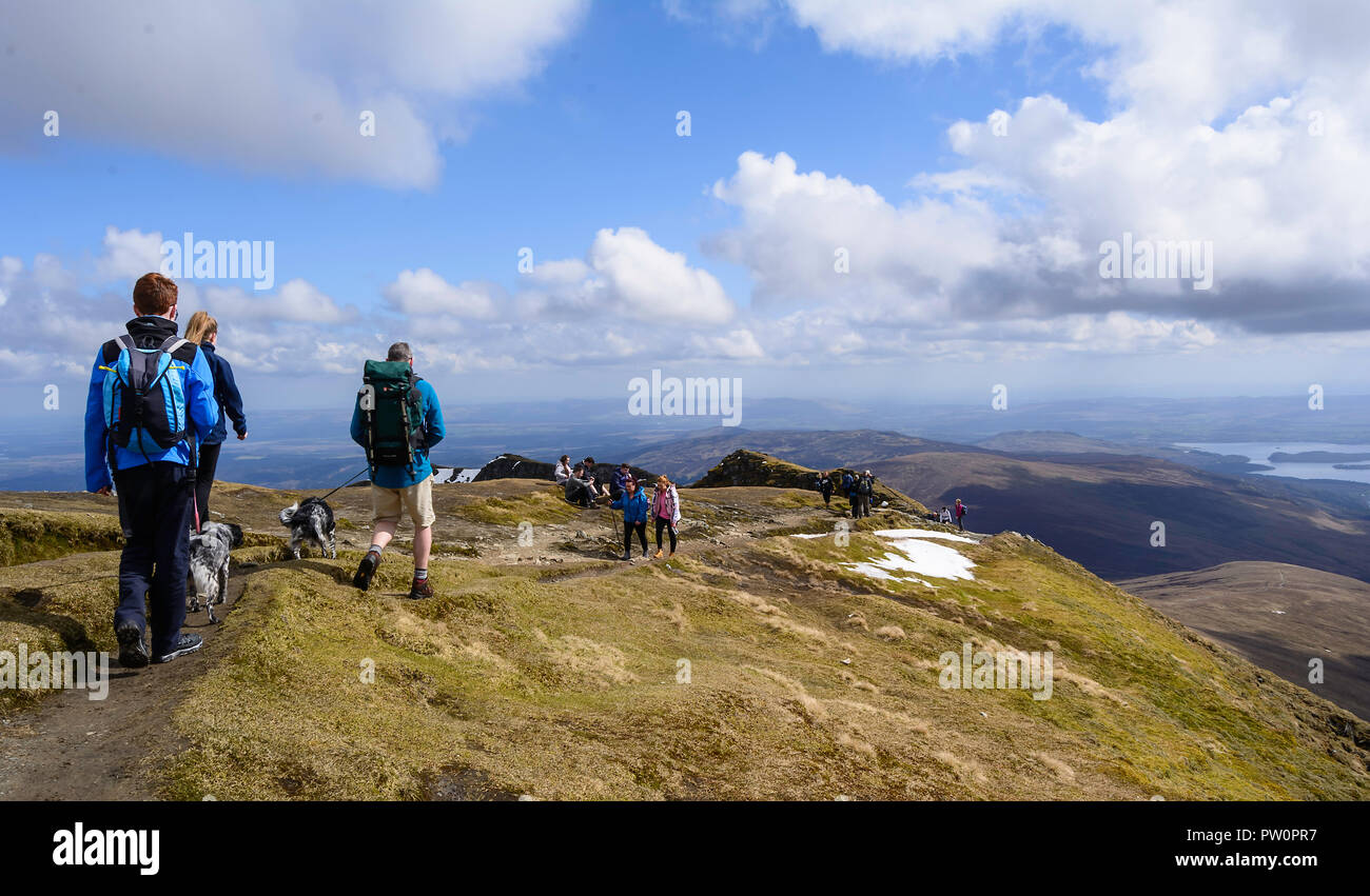 Ben Lomond Summit Stockfoto