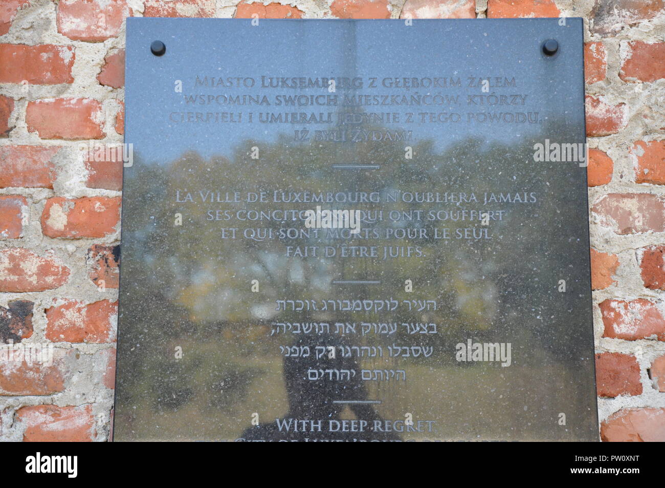 Die Lodz jüdischer Friedhof - 10.2012 Stockfoto