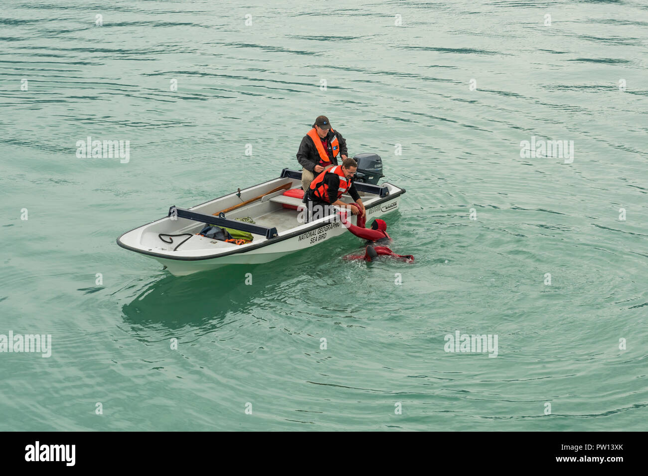 Crew Mitglied im Wasser, gekleidet in einem survival Suit ist von den Besatzungsmitgliedern in einem Boston Whaler Boot während Mann über Bord Bohren auf der Lindblad geholfen Stockfoto
