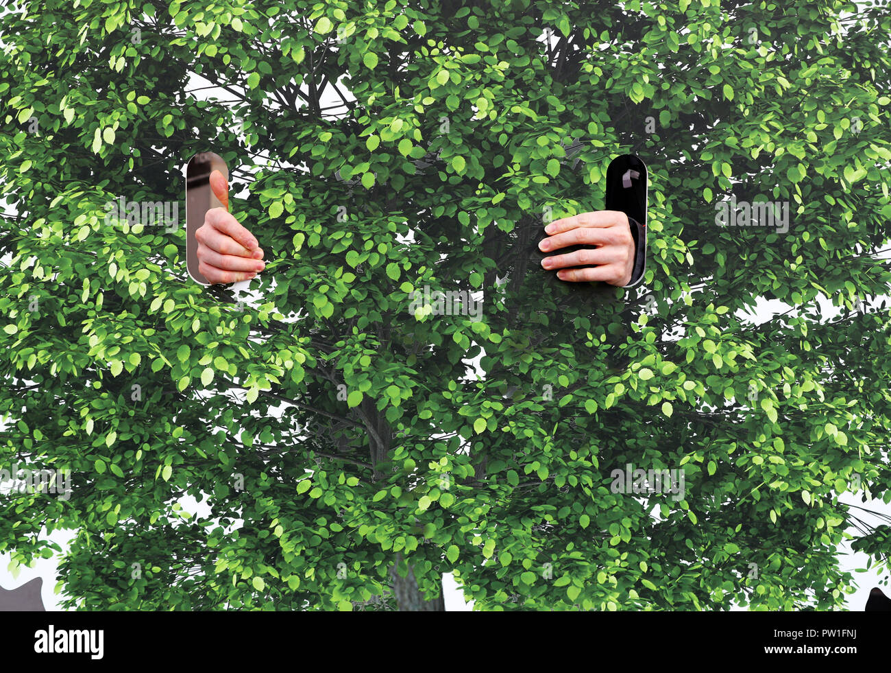 Berlin, Deutschland. 12 Oktober 2018, Berlin: Umweltschützer Holding ein Dummy Baum vor das Bundesministerium für Wirtschaft und Proteste gegen weiteren Kohleabbau in Deutschland. Die Kommission trifft im Ministerium ein Zeitplan und ein Datum für den Ausstieg aus der Kohleförderung bis Ende des Jahres zu verhandeln. Foto: Jens Büttner/dpa-Zentralbild/dpa Quelle: dpa Picture alliance/Alamy leben Nachrichten Stockfoto