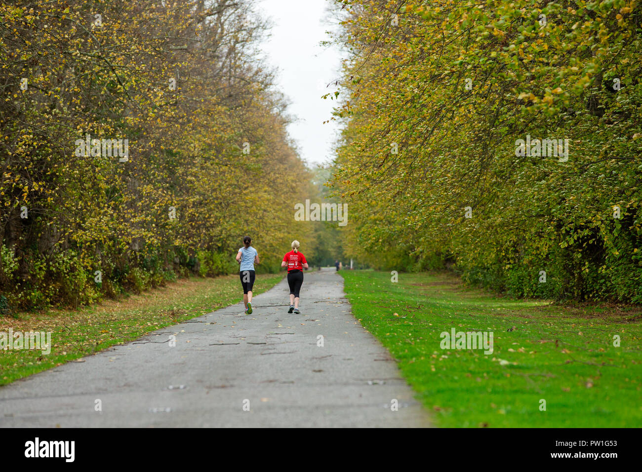 Celbridge, Grafschaft Kildare, Irland. 12 Okt, 2018: Die Folgen des Sturms Callum im Castletown Park, Celbridge. Ruhe am Morgen und Paar herabgefallene Äste aber keine größeren Schäden in der Forstwirtschaft. Die Menschen wandern und jugging foretasted vor dem Regen für den Nachmittag als Sturm Callum bewegt sich über Irland. Quelle: Michael Grubka/Alamy leben Nachrichten Stockfoto