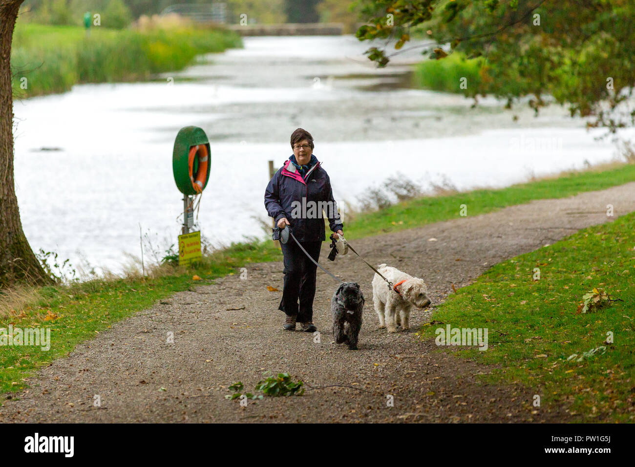 Celbridge, Grafschaft Kildare, Irland. 12 Okt, 2018: Die Folgen des Sturms Callum im Castletown Park, Celbridge. Ruhe am Morgen und Paar herabgefallene Äste aber keine größeren Schäden in der Forstwirtschaft. Die Menschen wandern und jugging foretasted vor dem Regen für den Nachmittag als Sturm Callum bewegt sich über Irland. Quelle: Michael Grubka/Alamy leben Nachrichten Stockfoto