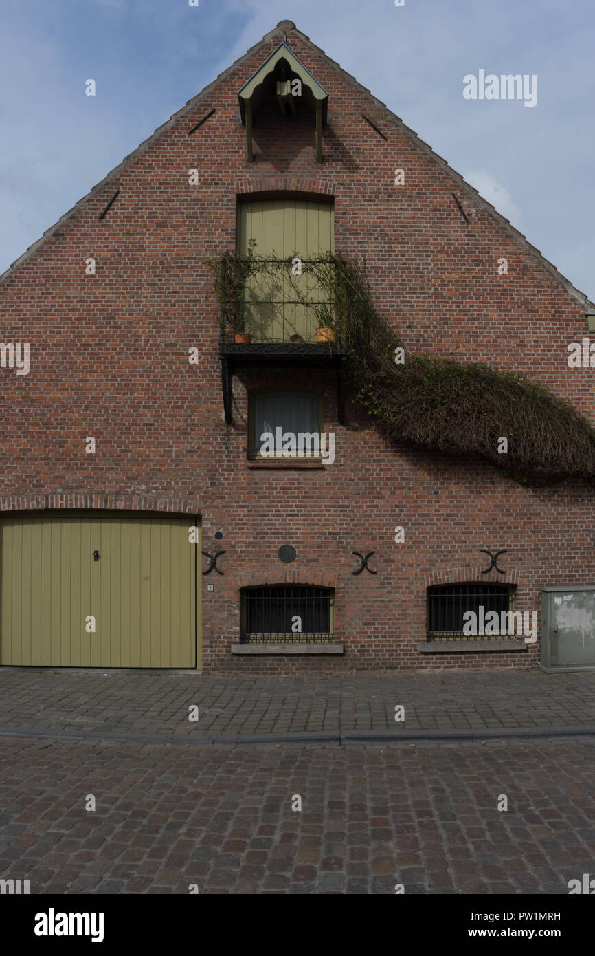 Eine rote gemauerte Haus mit einer Pflanze, die an der Wand in Brügge, Belgien, Europa Stockfoto