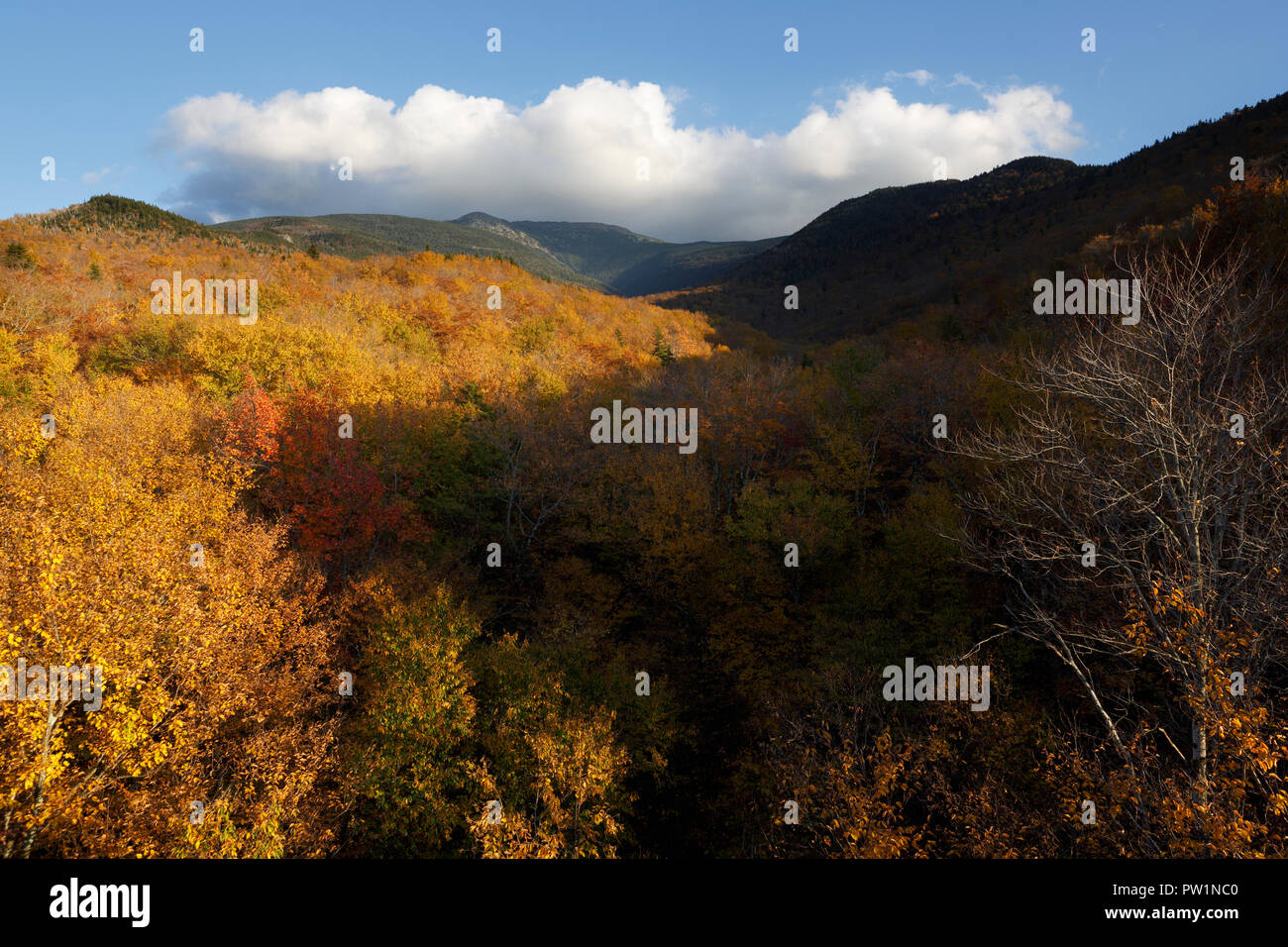 Mount Lafayette, White Mountains National Forest, New Hampshire, USA Stockfoto