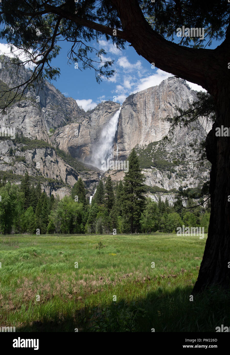 Yosemite Valley. Yosemite Falls Stockfoto