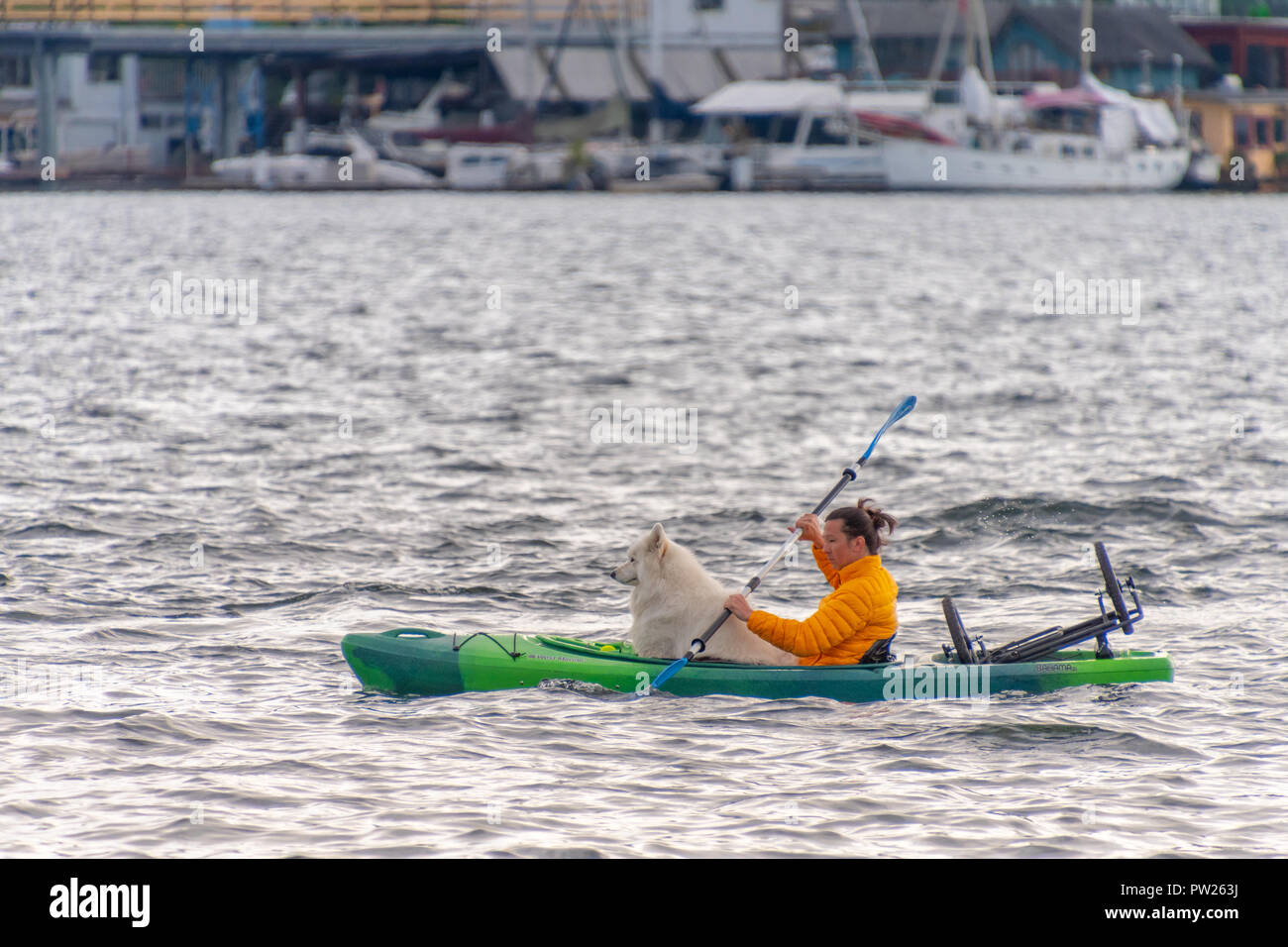 Dienstag, 8. Mai 2018, Seattle, WA: ein Mann Kajaks über Seattle's Lake Union mit seinem Hund bei Sonnenuntergang. Stockfoto