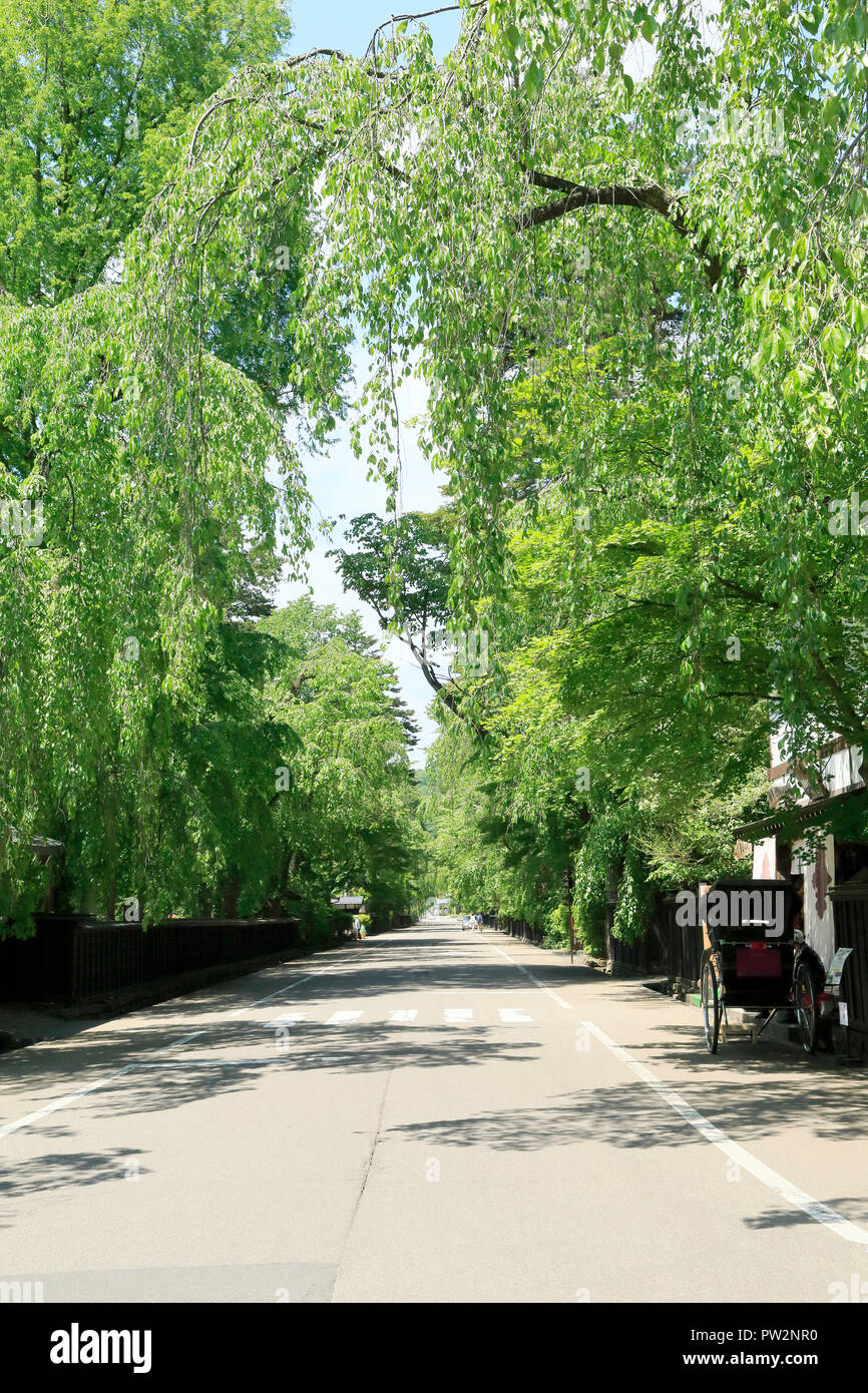 Saison von frischem Grün Samurai Residenz von Hakuba Stockfoto