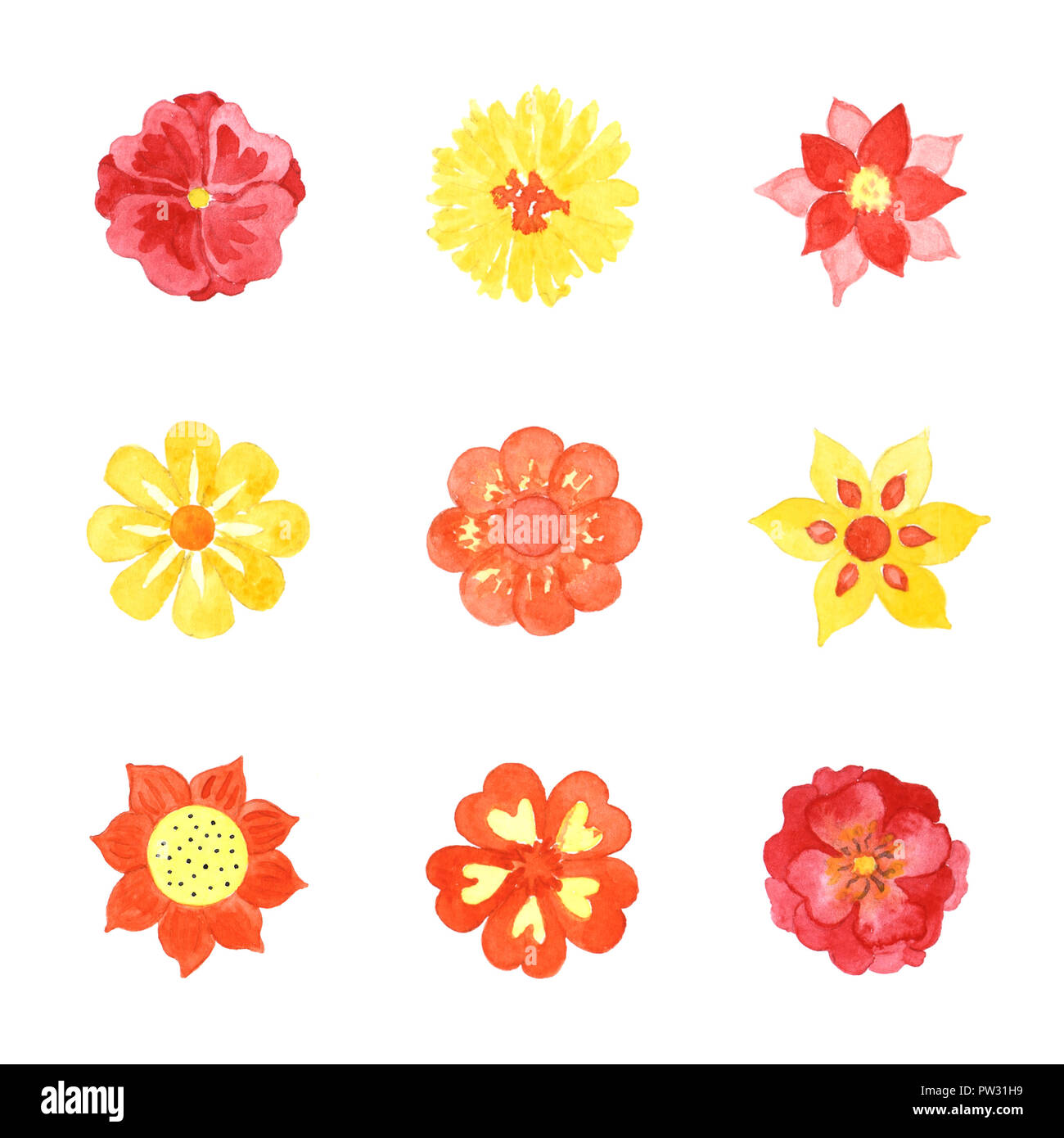 Satz von verschiedenen Aquarell blühenden Blumen isoliert auf weißem Hintergrund Stockfoto