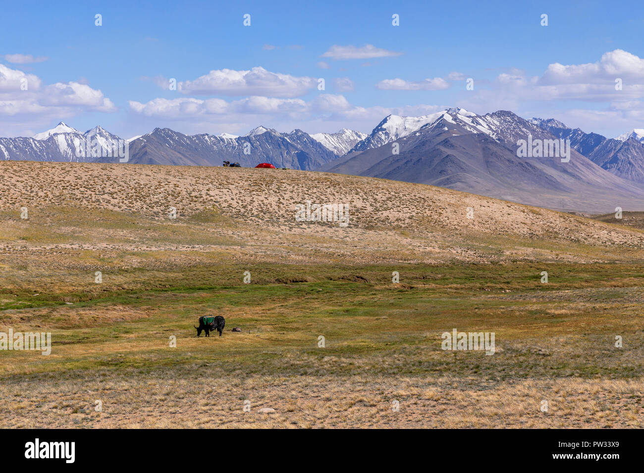 Backcountry Campingplatz auf Afghan-Tajik Grenze mit afghanischen Große Pamir im Hintergrund und Yak im Vordergrund, Pamir, Tadschikistan Stockfoto