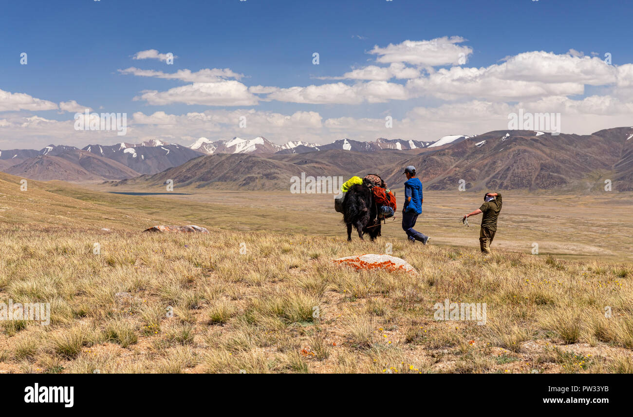 Kirgisischen Hirten mit Yak verpackt für die Expedition von Keng Shiber Kara Jilga, Pamir, Gorno-Badakhshan, Tadschikistan. Stockfoto