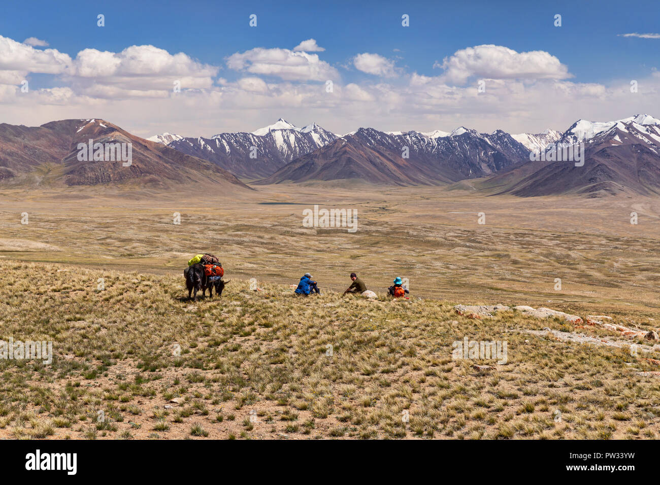 Kirgisischen Hirten mit Yak verpackt für die Expedition von Keng Shiber Kara Jilga, Pamir, Gorno-Badakhshan, Tadschikistan. Stockfoto