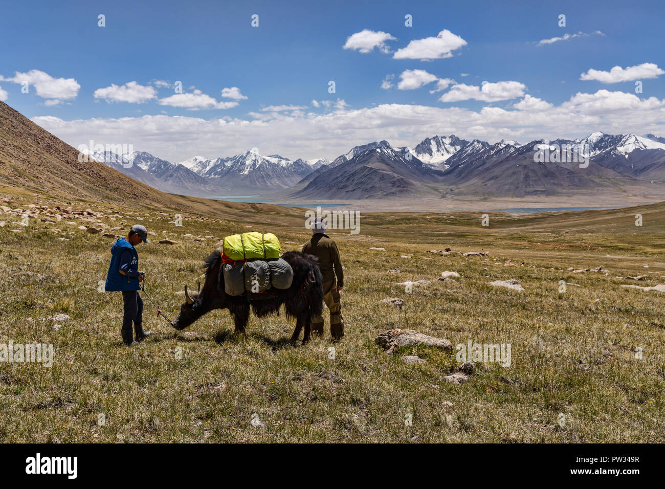 Kirgisischen Hirten in Keng Shiber mit Yak verpackt für die Expedition von Keng Shiber Kara Jilga, Pamir, Gorno-Badakhshan, Tadschikistan. Stockfoto