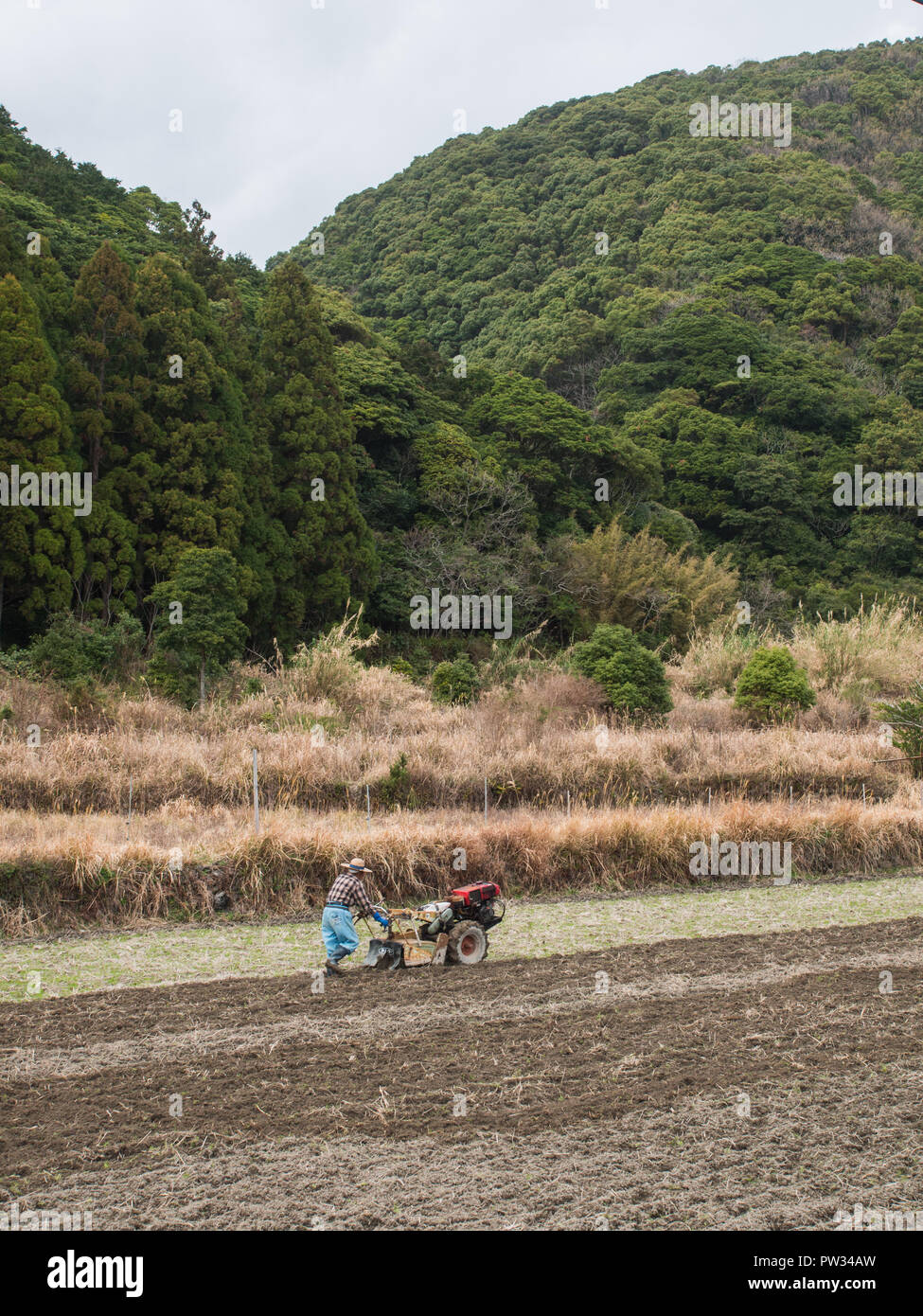 Japanische Bauer, Frühling Pflügen, Landstraße 55, von kannoura zu Muroto, Kochi, Shikoku, Japan Stockfoto