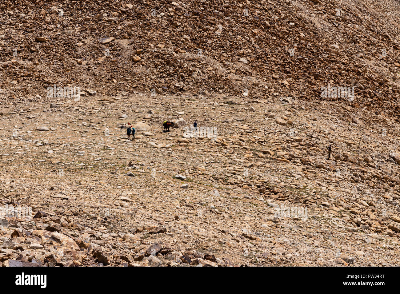 Trekker auf dem 4.800 m Bel Airyk Pass auf Trek von Keng Shiber Kara Jilga, Pamir, Gorno-Badakhshan, Tadschikistan. Stockfoto