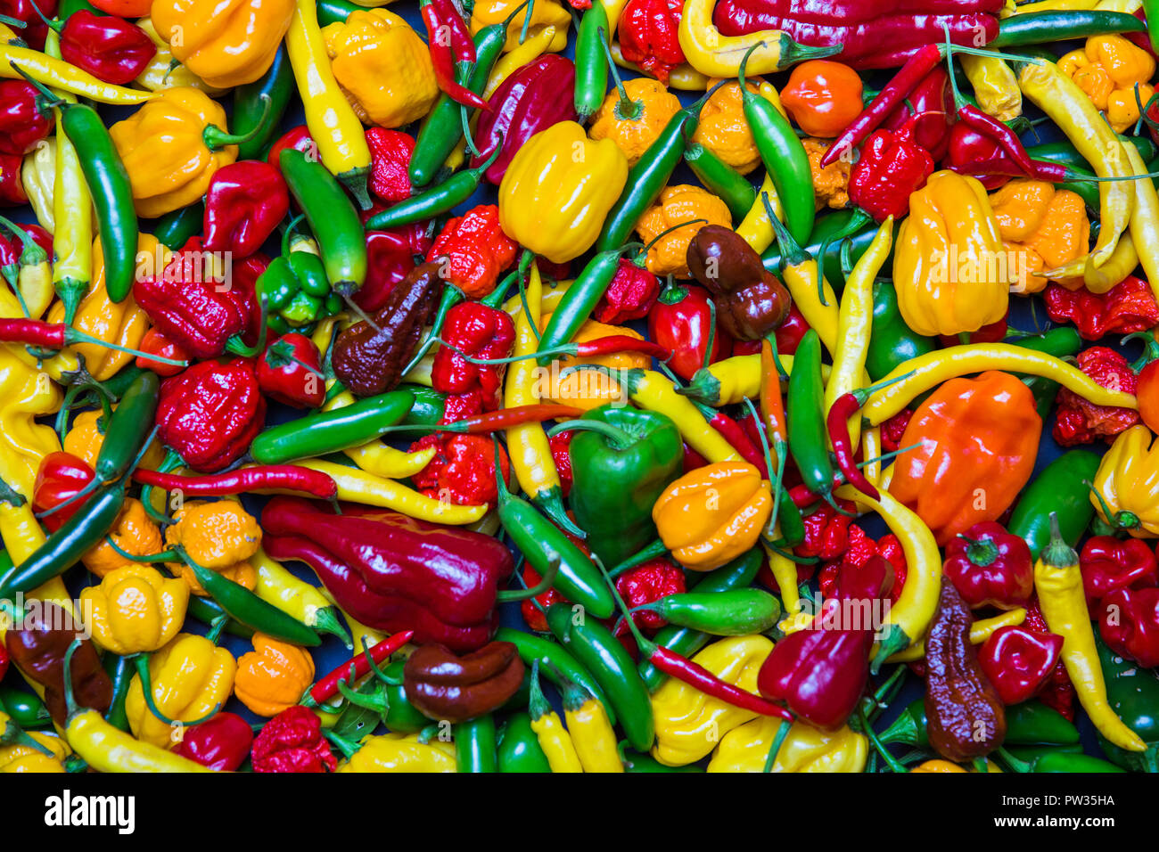 Stadt Riga, Lettland. Viele verschiedene Chili, Farbe, Kunst und Spiel. Viele Farben und Formen. Reisen Foto 2018. Stockfoto