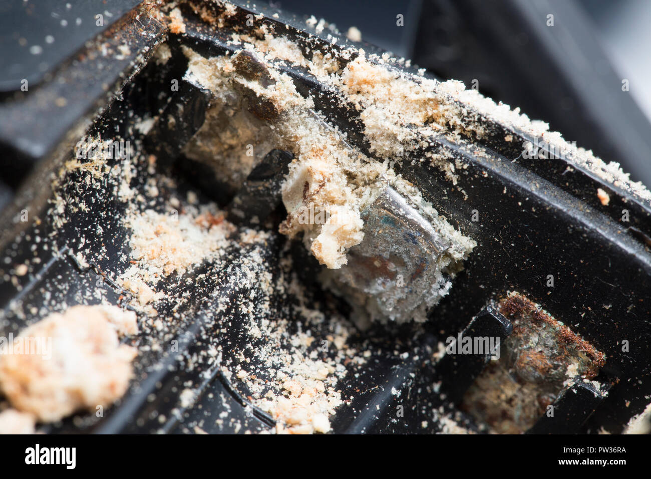 Einlagen von einer AAA-Alkali-Mangan Batterie, der mehrere Jahre im Akkufach des ein paar elektronische Gehörschutz und Le gelassen worden ist Stockfoto