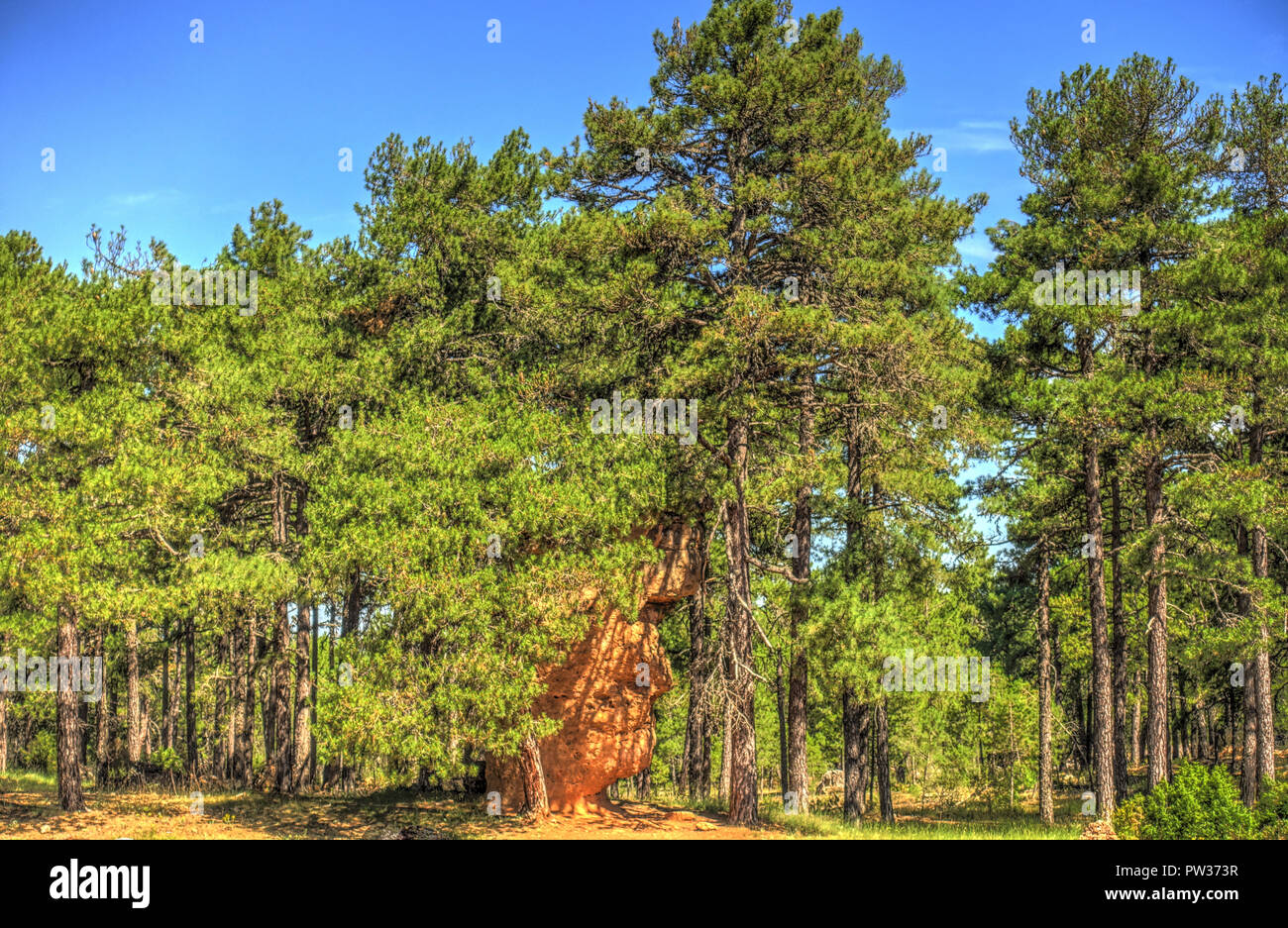 Ciudad Encantada verzauberte Stadt, Cuenca, Spanien Stockfoto