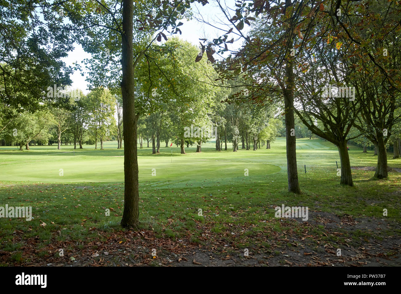 Blick aus dem rauhen durch Bäume auf der Grünen auf Golf Club UK Stockfoto