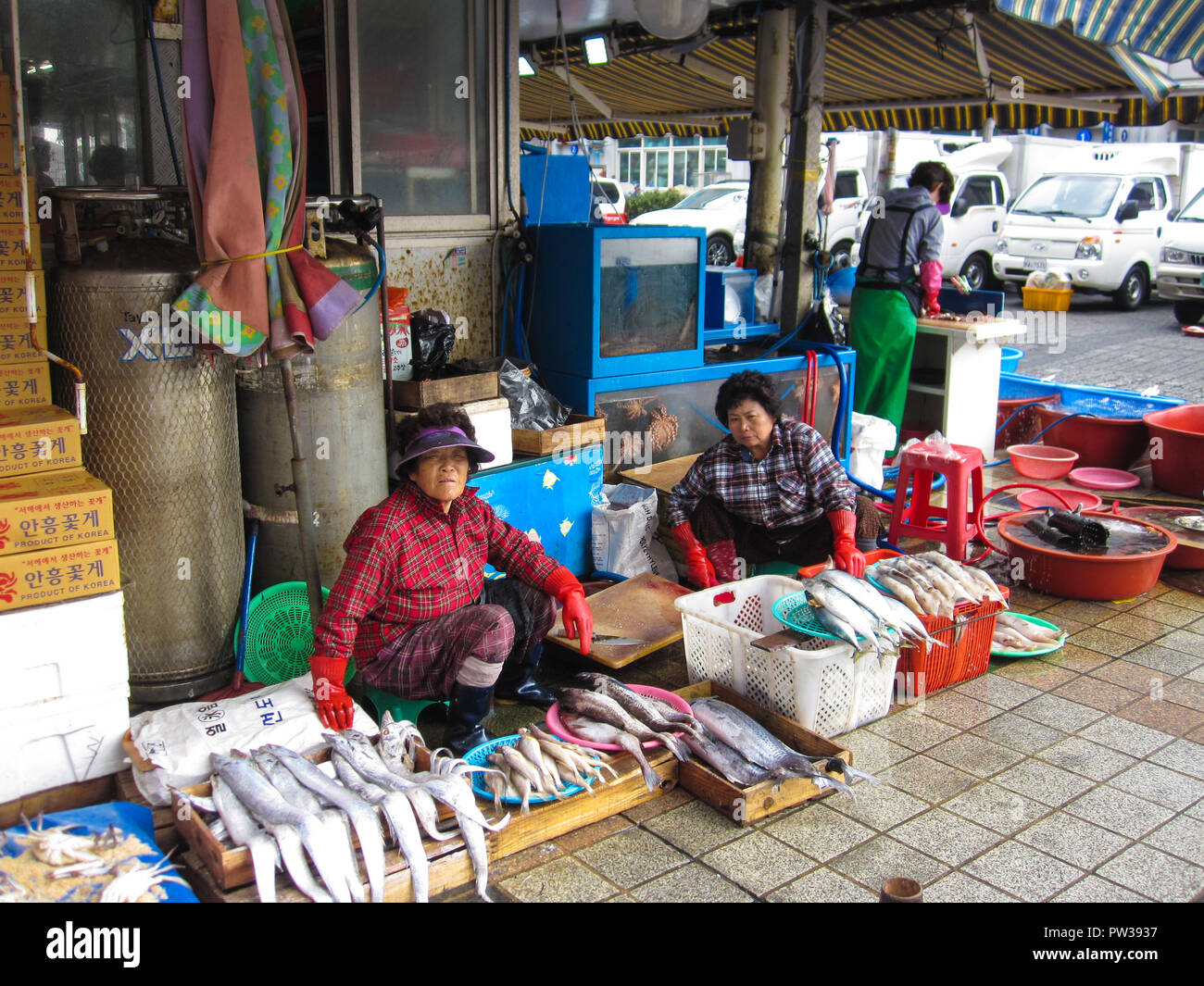 Busan, Südkorea. Oktober 2012: Der jagalchi Fischmarkt ist ein Vertreter der Fischmarkt und ein Reiseziel in Busan. Viele Touristen besuchen Jag Stockfoto
