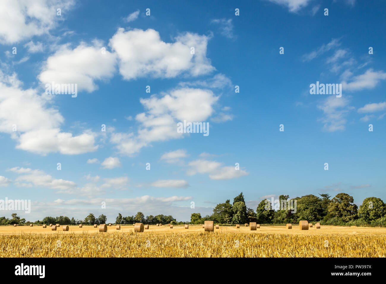 Landwirtschaftlichen Feld mit Strohballen im August, England, Großbritannien Stockfoto