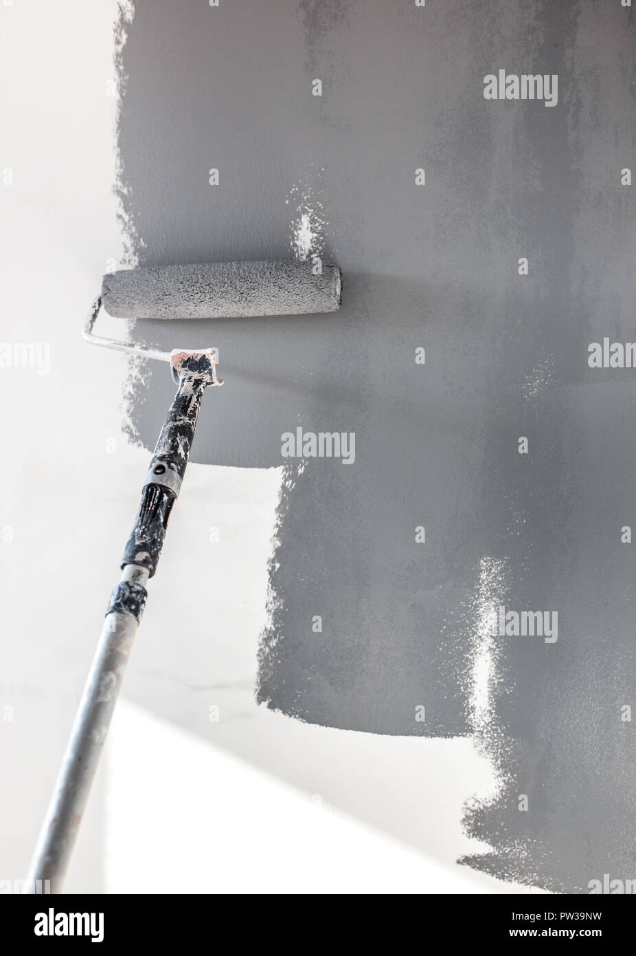 Home Reparaturen. Die Wände der Zimmer in Grau mit einem Farbroller. Stockfoto