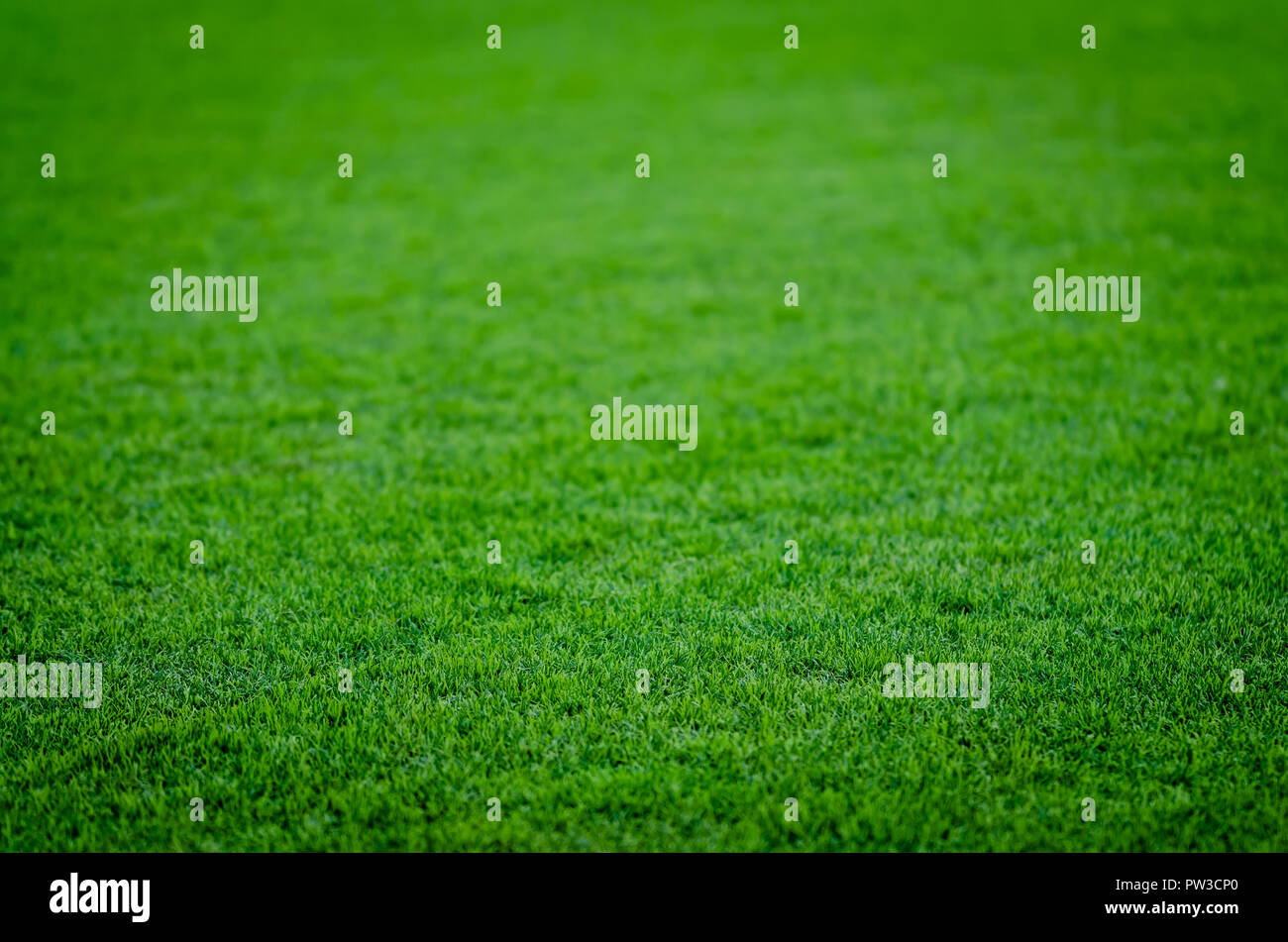 Zusammenfassung Hintergrund des grünen Grases auf einem Fußballfeld. Ideal für das Platzieren von Objekten mit Tiefenschärfe. Stockfoto