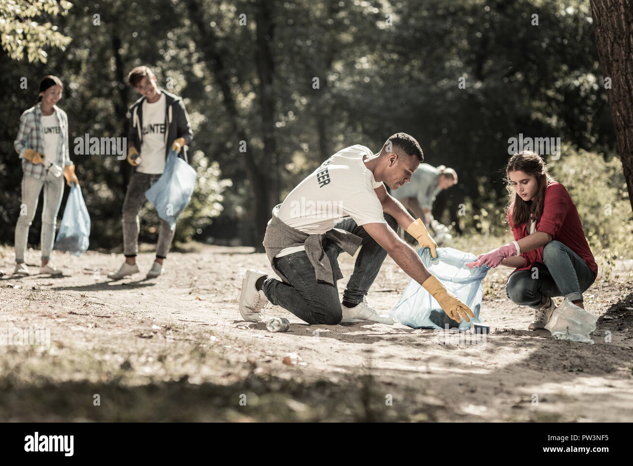 Unternehmen der fleißige Freiwillige Helfer, die die Säuberung der Papierkorb links im Wald Stockfoto