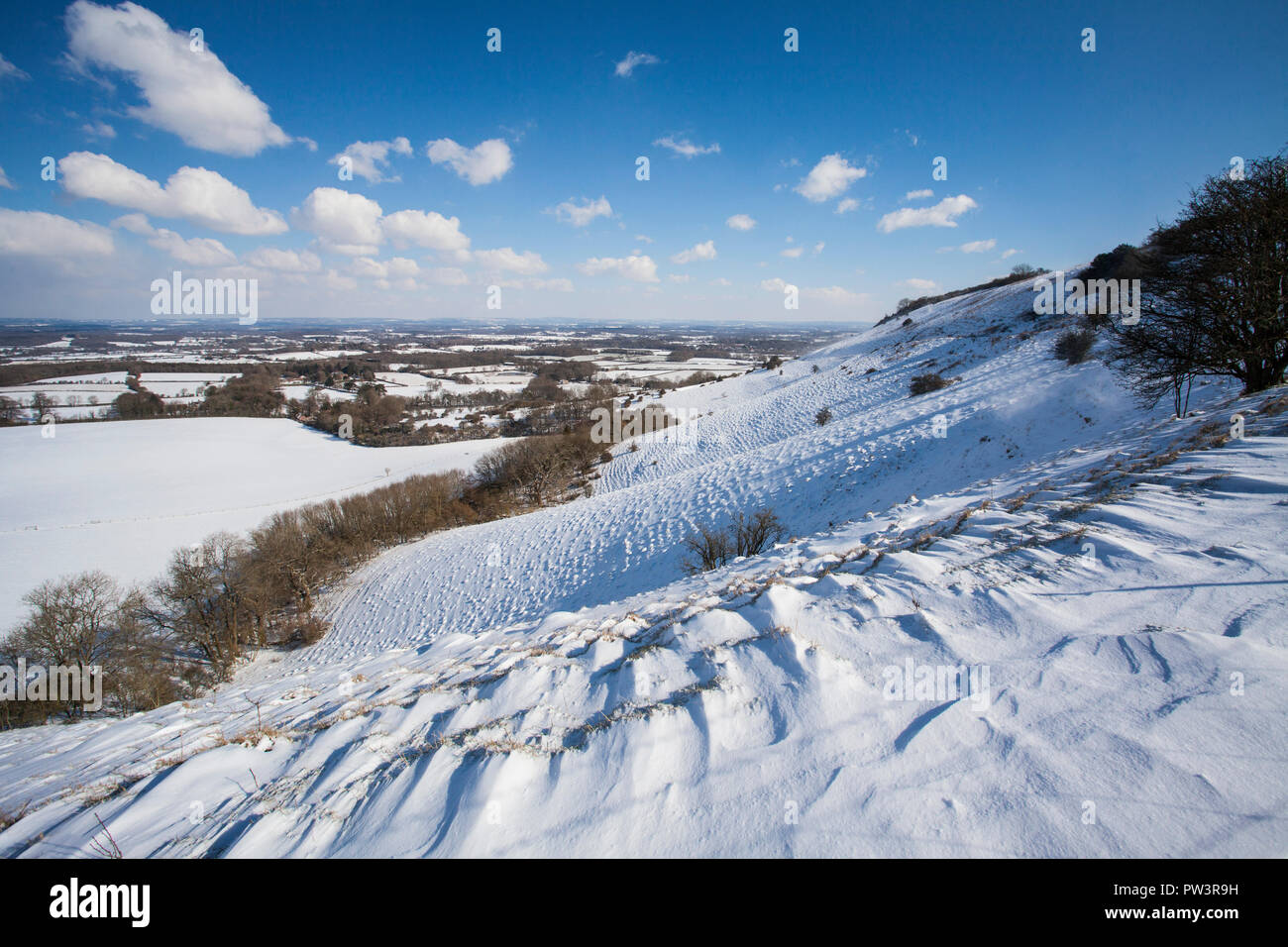 Schnee auf South Downs, in der Nähe von Ditchling Beacon, South Downs National Park, East Sussex, England, Großbritannien. Stockfoto