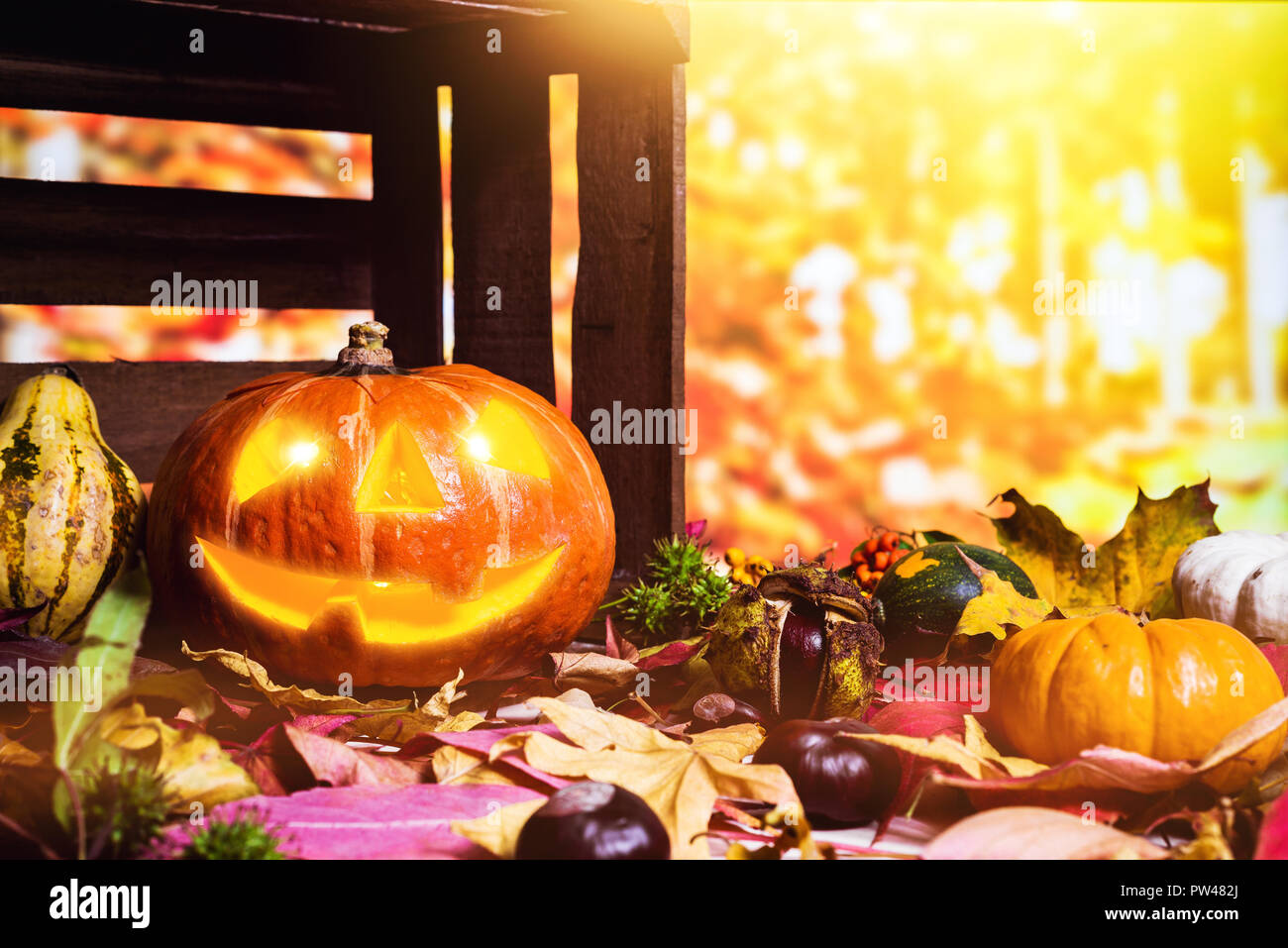 Moody scary halloween kürbis geschnitzt mit bunte Blätter und Kastanien, die als Hintergrund für Thanksgiving Stockfoto