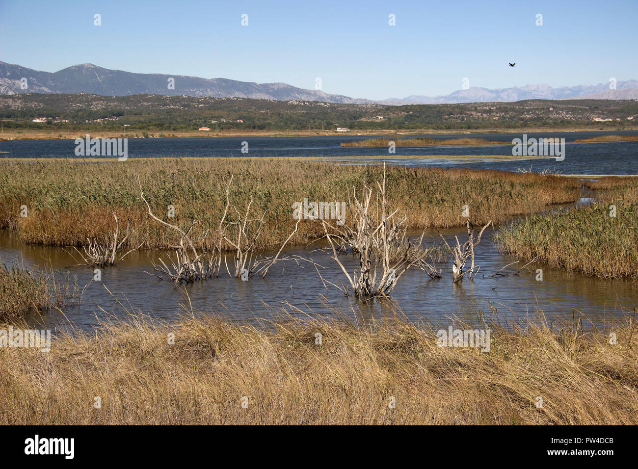 Montenegro - ein Blick auf einen Teil des Naturparks Solana (Ulcinj Ulcinj Saline) Stockfoto